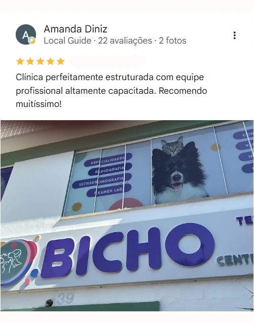 Avaliação de cliente no Google sobre o Bicho