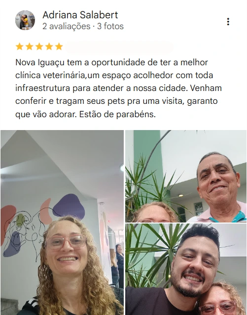 Avaliação de cliente no Google sobre o Bicho