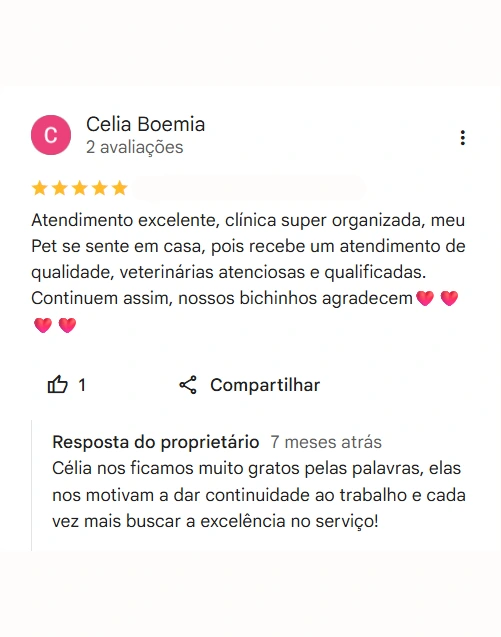 Avaliação de cliente no Google sobre o Bicho