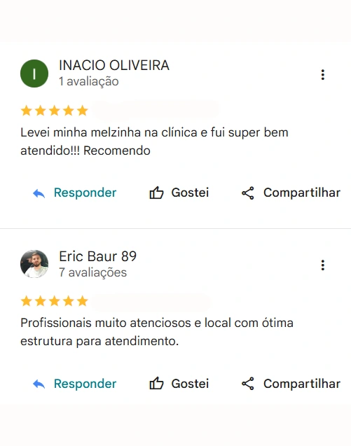 Avaliação de cliente no Google sobre o Bicho